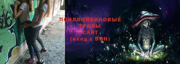 стафф Абинск