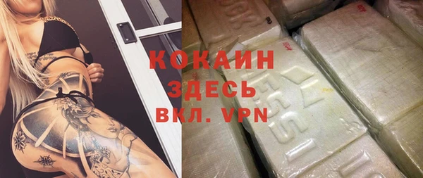 ГАЛЛЮЦИНОГЕННЫЕ ГРИБЫ Абаза